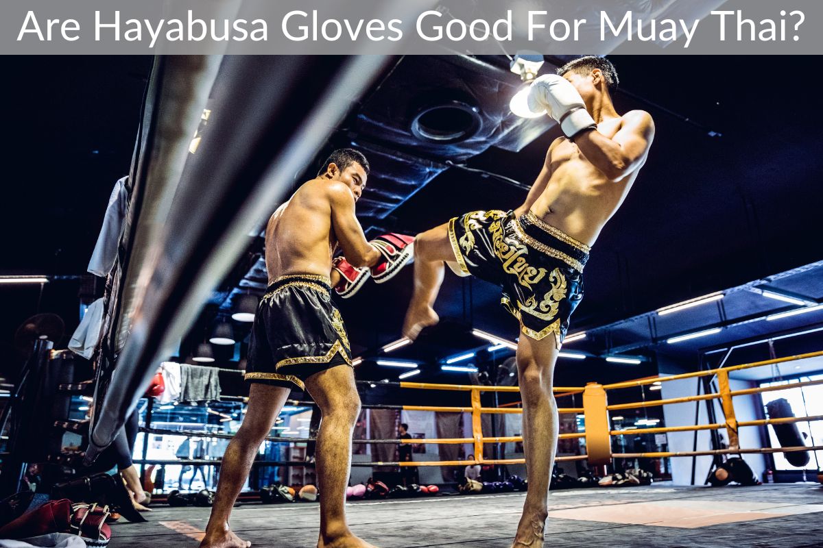 Are Hayabusa Gloves Good For Muay Thai?