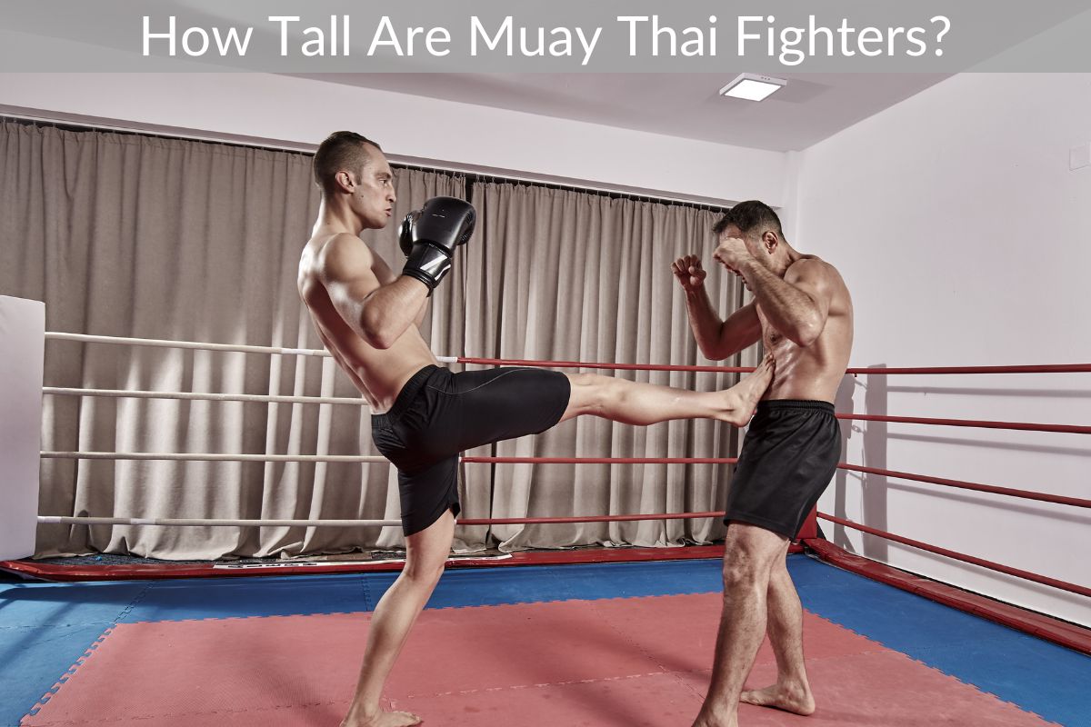 How Tall Are Muay Thai Fighters?