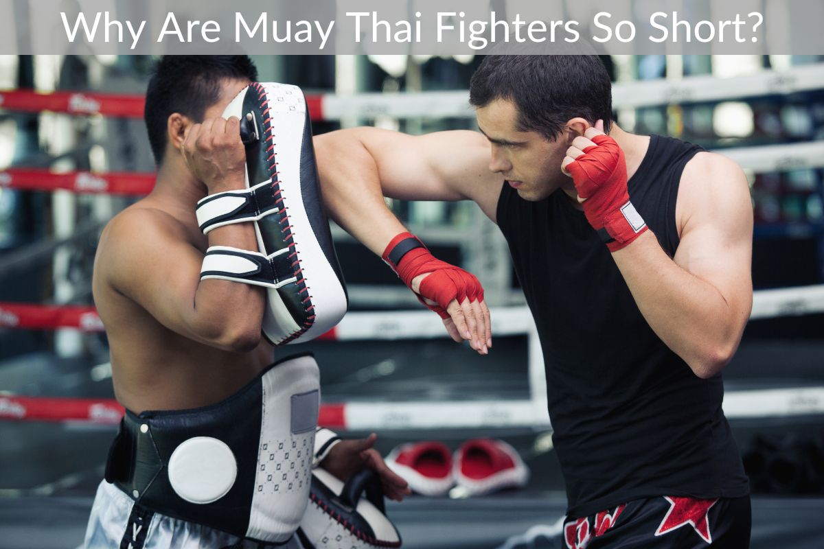 Why Are Muay Thai Fighters So Short?