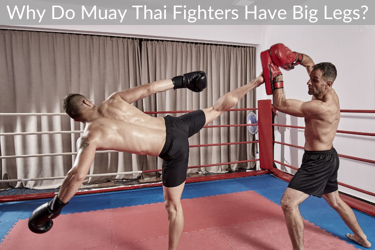 Why Do Muay Thai Fighters Have Big Legs?
